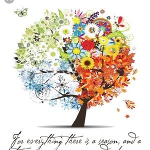 Meet your Posher, Joy